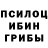 Галлюциногенные грибы Magic Shrooms Nister so2