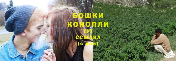 Альфа ПВП Богородск
