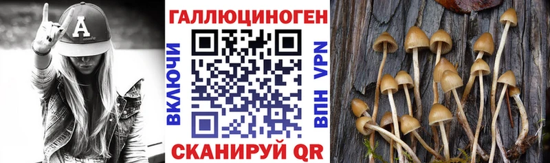 Галлюциногенные грибы мицелий  где найти наркотики  Дмитровск 