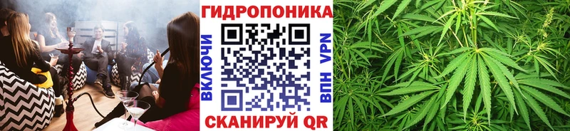 как найти закладки Дмитровск Бошки марихуана планчик